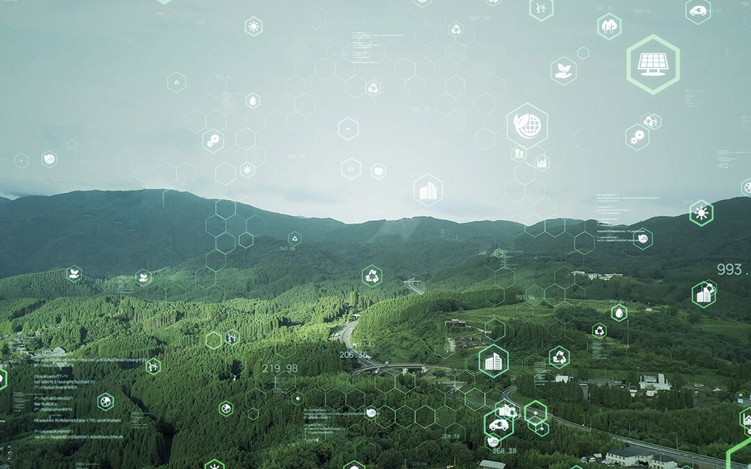 Q3 2025 | Market Updates